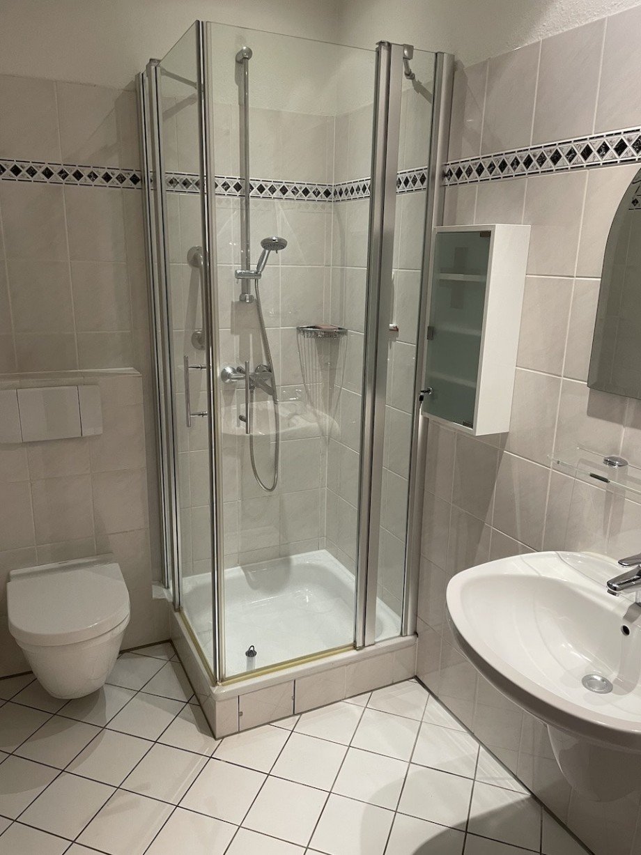 Duschbad Dachgeschosswohnung Norderstedt