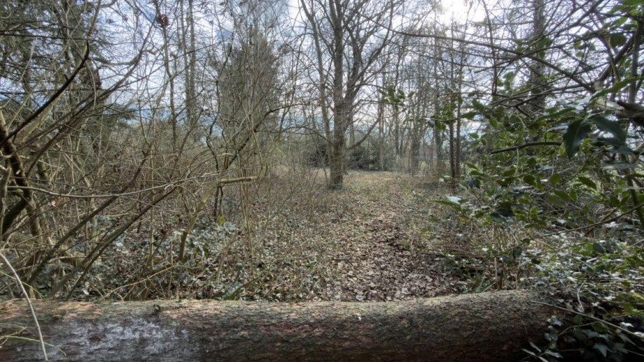 hinterer Gartenbereich Einfamilienhaus Norderstedt